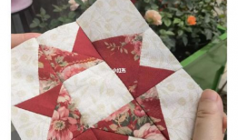 蘑菇吃瓜网黑料爆料,娱乐圈黑料大揭秘