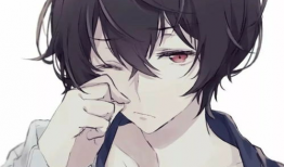 动漫男男,动漫男生的青春篇章